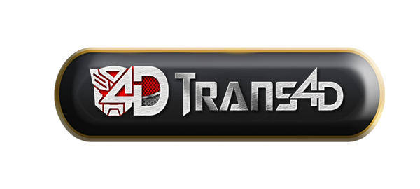 trans4d-rtp